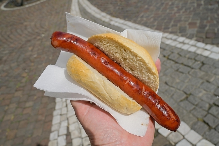 Beef sausage in a bun, Frankfurt am Main, Hesse, Germany, Europe