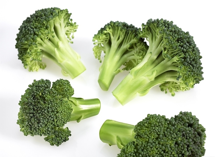 Broccoli Cabbage (brassica) oleracea against White Background