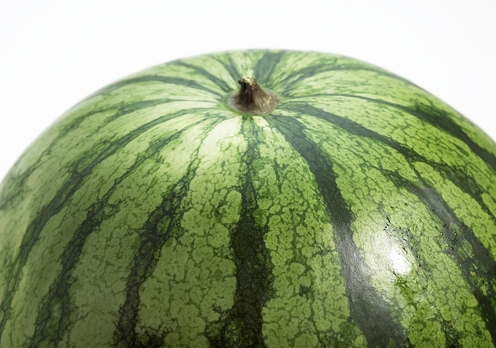Watermelon (citrullus lanatus), Against White Background