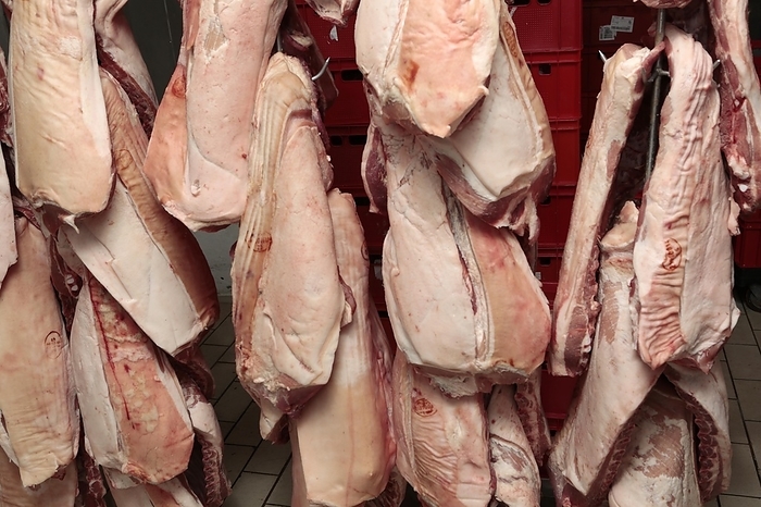 Pork, Pigs, Industrial processing of pork. Butcher, Czech Republic, Europe