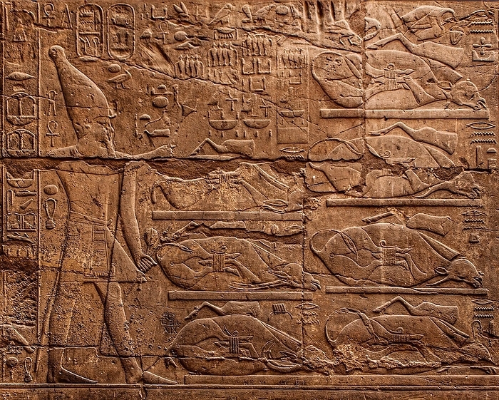 Scene at the doorway: The king consecrates beef shanks, Luxor temple, Thebes, Egypt, Luxor, Thebes, Egypt, Africa