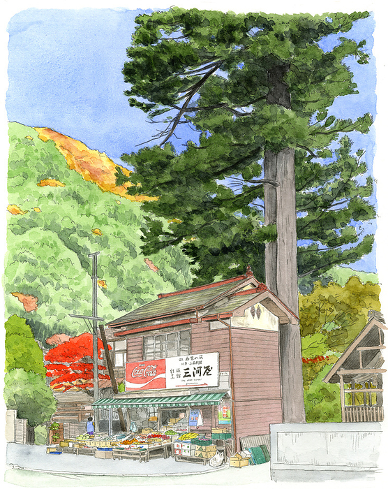 Fruit and vegetable store in Okutama