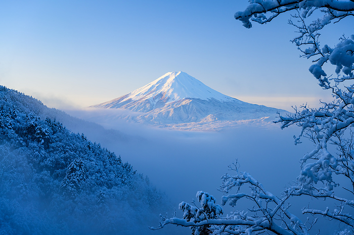 Yamanashi Prefecture Mt. Fuji and snowy landscape in a sea of clouds