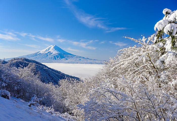 Mt. Fuji and ice trees from the Misaka Pass, Yamanashi Prefecture
