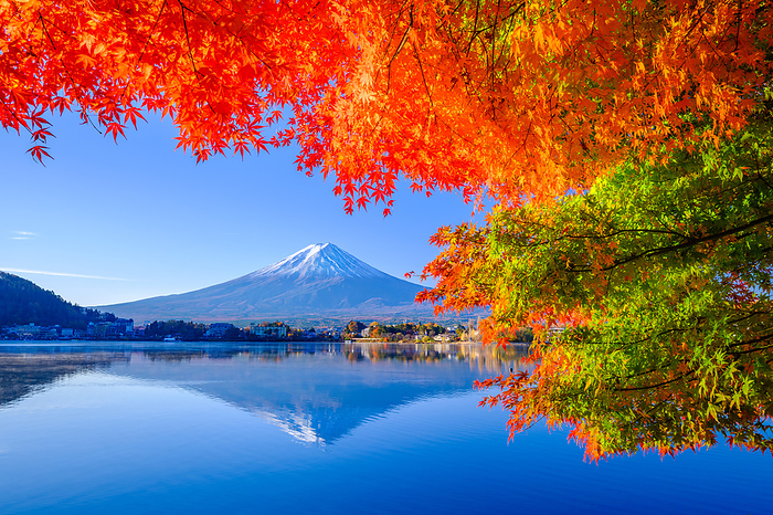Autumn Foliage in Kawaguchiko, Yamanashi Prefecture and Mt.