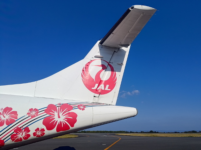 People boarding a JAL airplane connecting tropical countries with hibiscus painted on it.