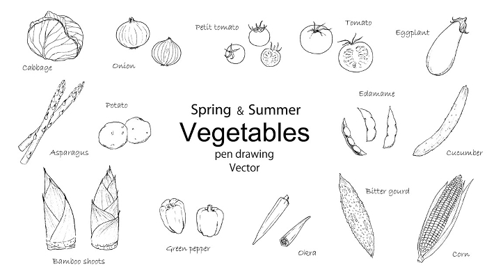 Spring and Summer Vegetable Pen Drawing Set