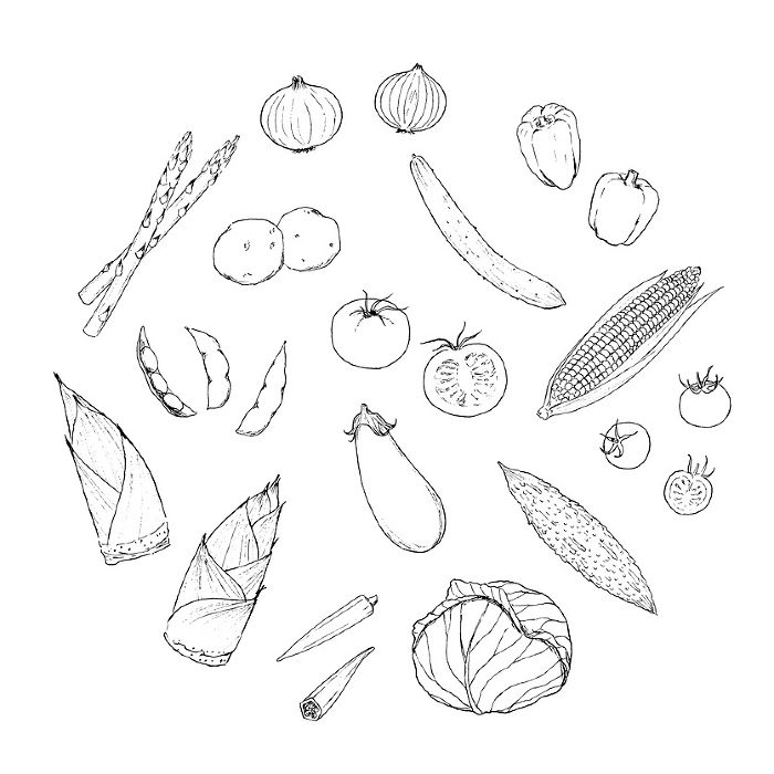 Pen drawings of spring and summer vegetables Circle design
