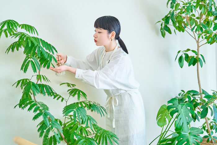 A young Japanese woman watering a houseplant in her room.