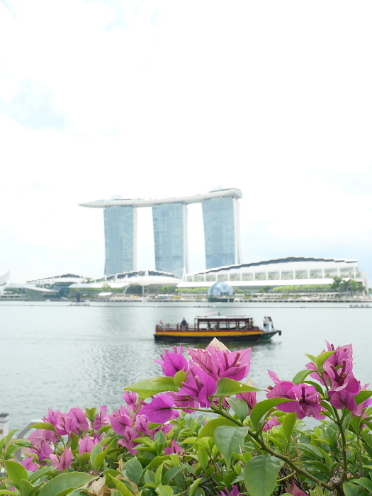 Singapore Bay Area