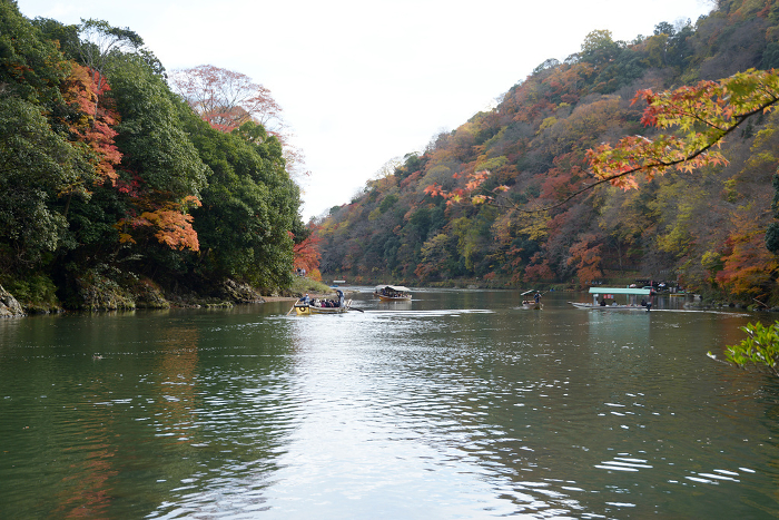 Arashiyama Valley in Autumn Ukyo-ku, Kyoto City