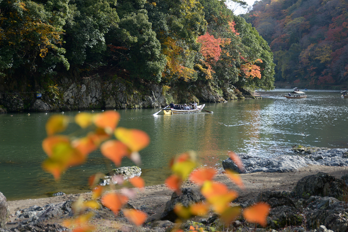 Arashiyama Canyon in autumn, Hozu River cruise boat, Ukyo-ku, Kyoto City