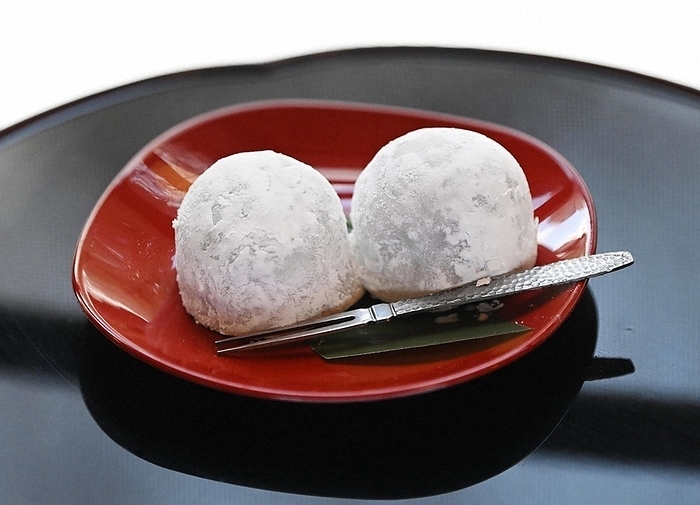 The 73rd ALSOK Cup Ousho Tournament Game 3 Day 1 Fresh cream daifuku,  which the challenger, Tatsuya Sugai 8 dan, ordered as an afternoon snack on the 1st day of the 3rd round of the Osho Tournament, at Sanbe so National Guest House in Ota City, Shimane Prefecture, at 3:01 p.m. on January 27, 2024  photo by Takao Kitamura 