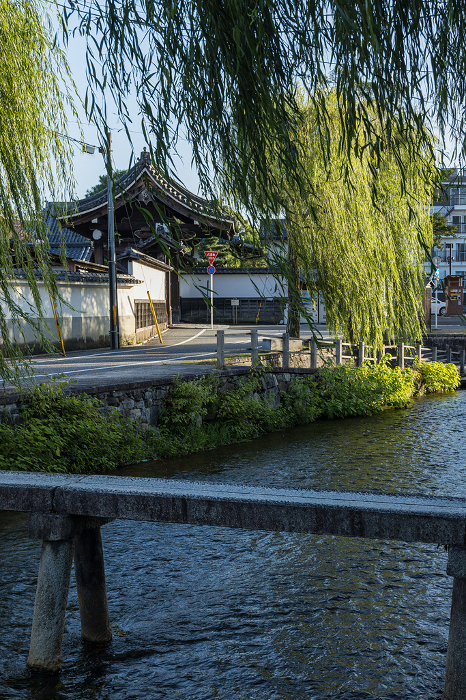 Japan Willow trees and a single bridge along the Shirakawa River in Higashiyama-ku, Kyoto City, Kyoto Prefecture, Japan