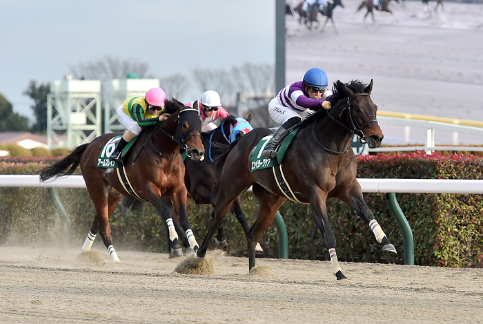 2024 Negishi Stakes  G3  Won by Emperor Wakea January 28, 2024 Horse Racing Race 11R Negishi Stakes 1, No. 7, Emperor Wakea  right , Masamasa Kawada, jockey Location Tokyo Racecourse