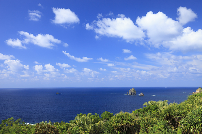 Four Rocks and the Pacific Ocean seen from Shizusawa Forest, Ogasawara Islands, Tokyo