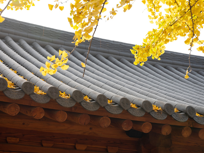 Korean traditional hanok, traditional roof tiles