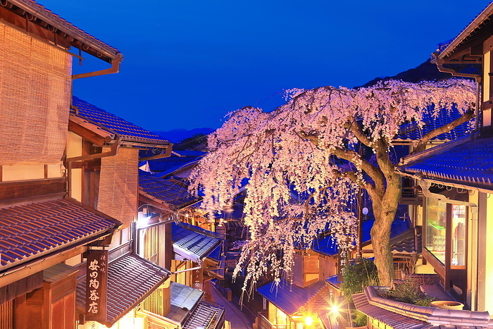 Houses on Sannenzaka at dusk in spring when weeping cherry trees are in bloom Kyoto City, Kyoto Prefecture