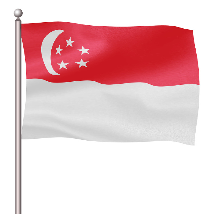 Singapore Flag Pole Icon