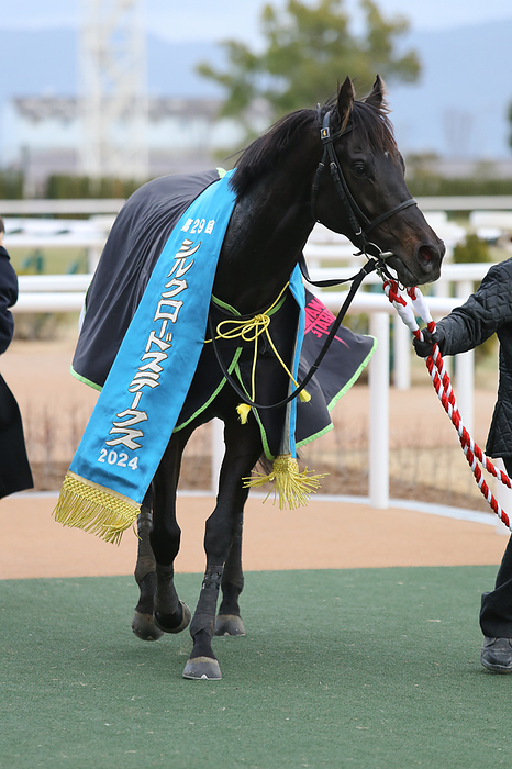 2024 Silk Road Stakes G3 2024 01 28 KYOTO 11R                       THE SILK ROAD STAKES       2         Lugal  Kyoto Racecourse in Kyoto, Japan on January 28, 2024.  Photo by Eiichi Yamane AFLO 