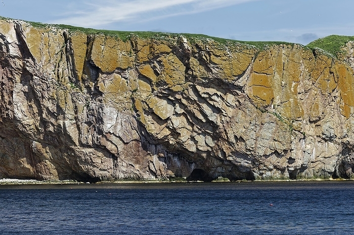 Perce Rock, detail, Perce, Region Gaspesie, Province of Quebec, Canada, North America, by Guenther Schwermer