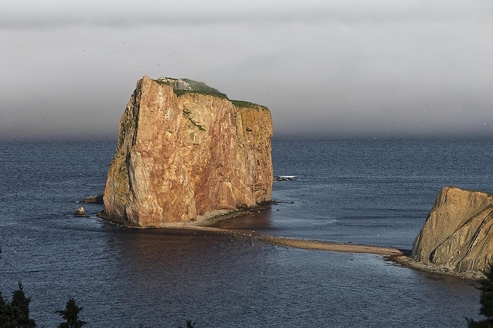 Fog at Perce Rock, Gulf of Saint Lawrence, Province of Quebec, Canada, North America, by Guenther Schwermer