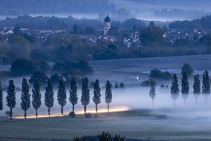 Morning atmosphere at Lake Constance, Zeller Aachried nature reserve with autumn fog. St. Nicholas Catholic Church Böhringen, Rickelshausen solar power plant, Radolfzell, Baden-Württemberg, Germany, Europe, by Arnulf Hettrich