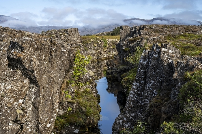 Iceland Rift valley, canyon caused by the North American and Eurasian continental plates drifting apart, Thingvellir National Park, southeast, Iceland, Europe, by Sonja Jordan