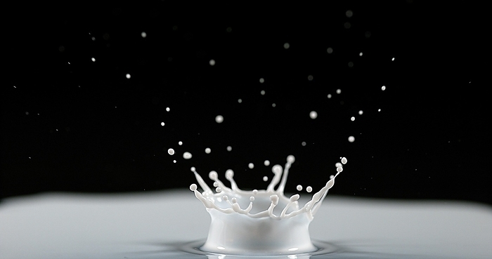 Drop of Milk Falling against Black Background, by Lacz Gerard