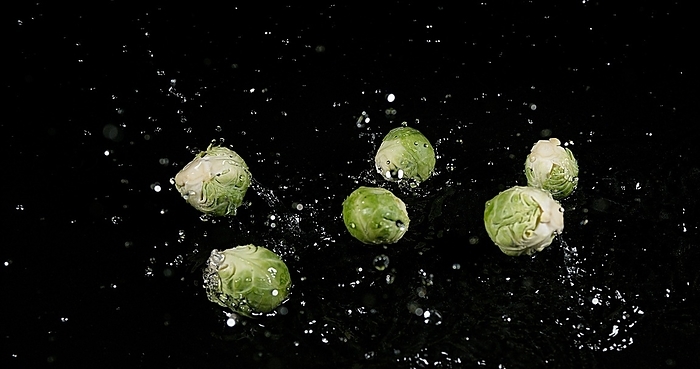 Brussels Sprouts (brassica) oleracea, Vegetable falling into Water against Black Background, by Lacz Gerard