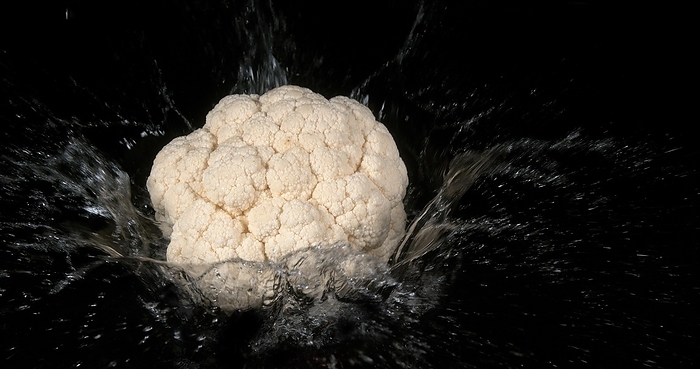 Cauliflower (brassica) oleracea, Vegetable falling into Water against Black Background, by Lacz Gerard