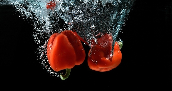 Red Sweet Pepper (capsicum) annuum, Vegetable falling into Water against Black Background, by Lacz Gerard