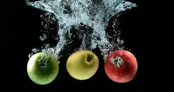 Apples (malus domestica), Fruits entering Water against Black Background, by Lacz Gerard