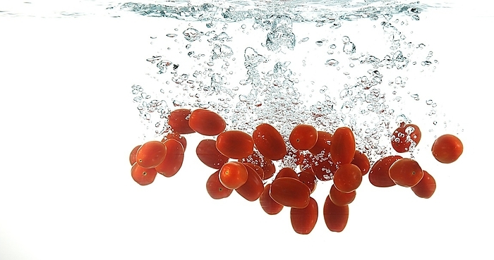 Cherry Tomatoes (solanum lycopersicum), Fruits falling into Water against White Background, by Lacz Gerard