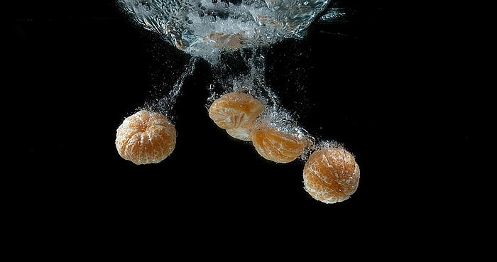 Clementines (citrus reticulata), Fruits falling into Water against black Background, by Lacz Gerard