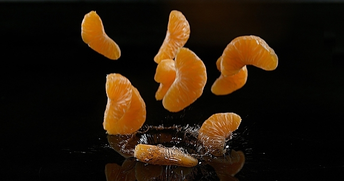 Clementines (citrus reticulata), Fruits falling on Water against black Background, by Lacz Gerard