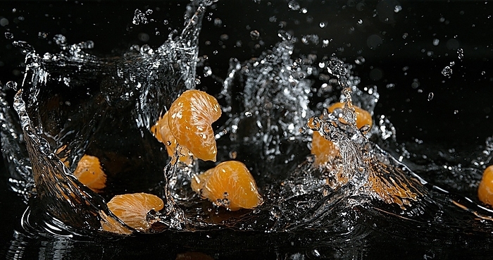 Clementines (citrus reticulata), Fruits falling on Water against black Background, by Lacz Gerard