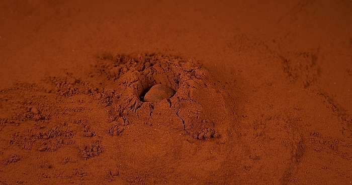 Chocolate Truffle falling on Chocolate Powder, by Lacz Gerard