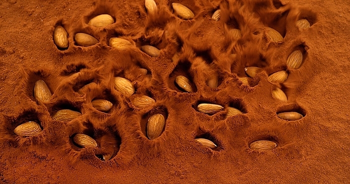 Almonds Falling in Black Chocolate Powder, by Lacz Gerard