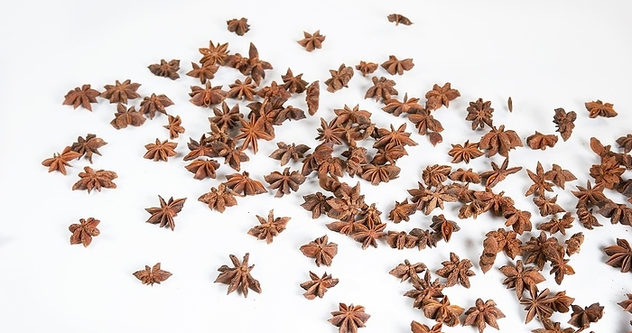 Star Anise (illicium verum), spice falling against White Background, by Lacz Gerard