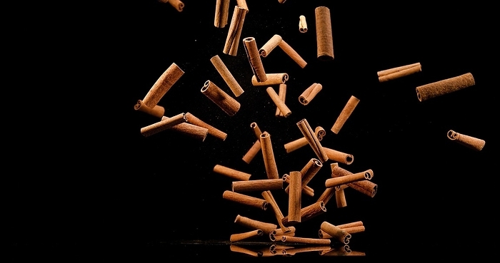 Cinnamon sticks (cinnamomum zeylanicum), spice falling against Black Background, by Lacz Gerard