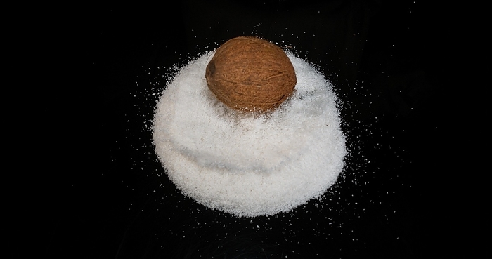 Coconut (cocos nucifera), Fruit and Powder Exploding against Black Background, by Lacz Gerard