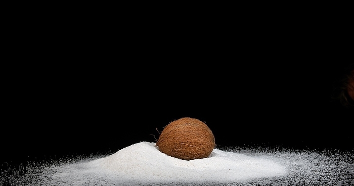 Coconut (cocos nucifera), Fruit and Powder Exploding against Black Background, by Lacz Gerard