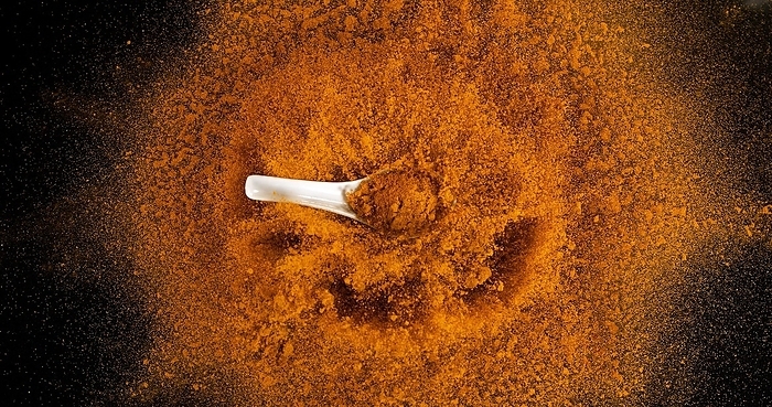 Turmeric (curcuma longa), Powder Exploding against Black Background, Indian Spice, by Lacz Gerard