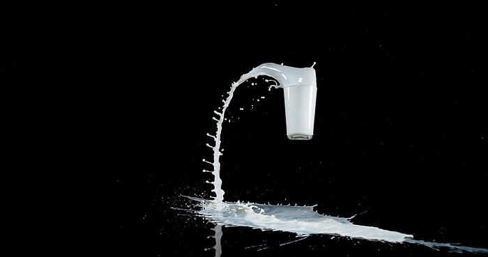 Glass of Milk Bouncing and Splashing on Black Background, by Lacz Gerard