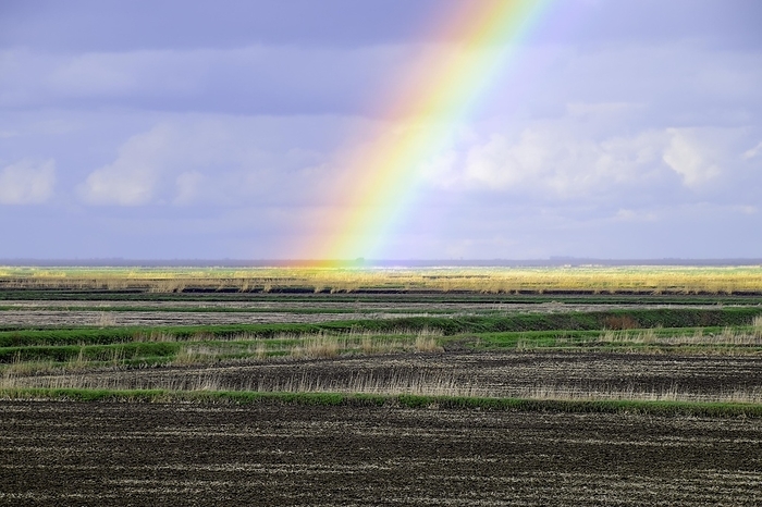 Rainbow, a view of the landscape in the field. Formation of the rainbow after the rain. Refraction of light and expansion in terms of spectra, by Leonid Eremeychuk