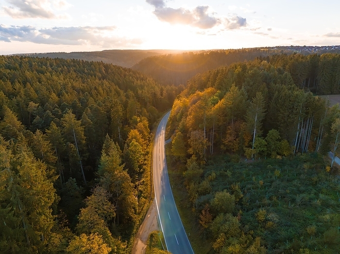 Aerial view, autumn forest with road at sunset, Holzbronn, Black Forest, Germany, Europe, by Manuel Kamuf