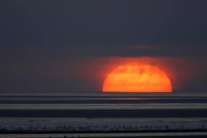 Sunset over the mudflats on the island of Minsener Oog, Lower Saxony Wadden Sea National Park, Lower Saxony, Germany, Europe, by Volker Lautenbach