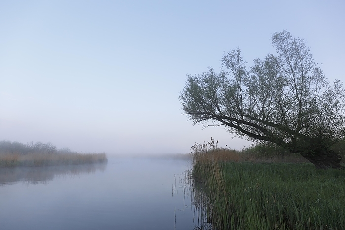 Morning fog on the river Peene, Peene Valley River Landscape nature park Park, Mecklenburg-Western Pomerania, Germany, Europe, by Volker Lautenbach