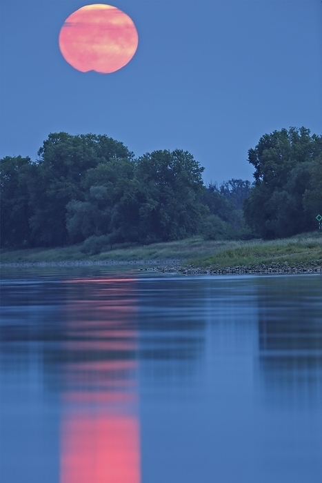 Blue Moon from 31.08.2023, Moonrise over the Elbe near Dessau-Roßlau, Super Full Moon, Middle Elbe Biosphere Reserve, Saxony-Anhalt, Germany, Europe, by Volker Lautenbach